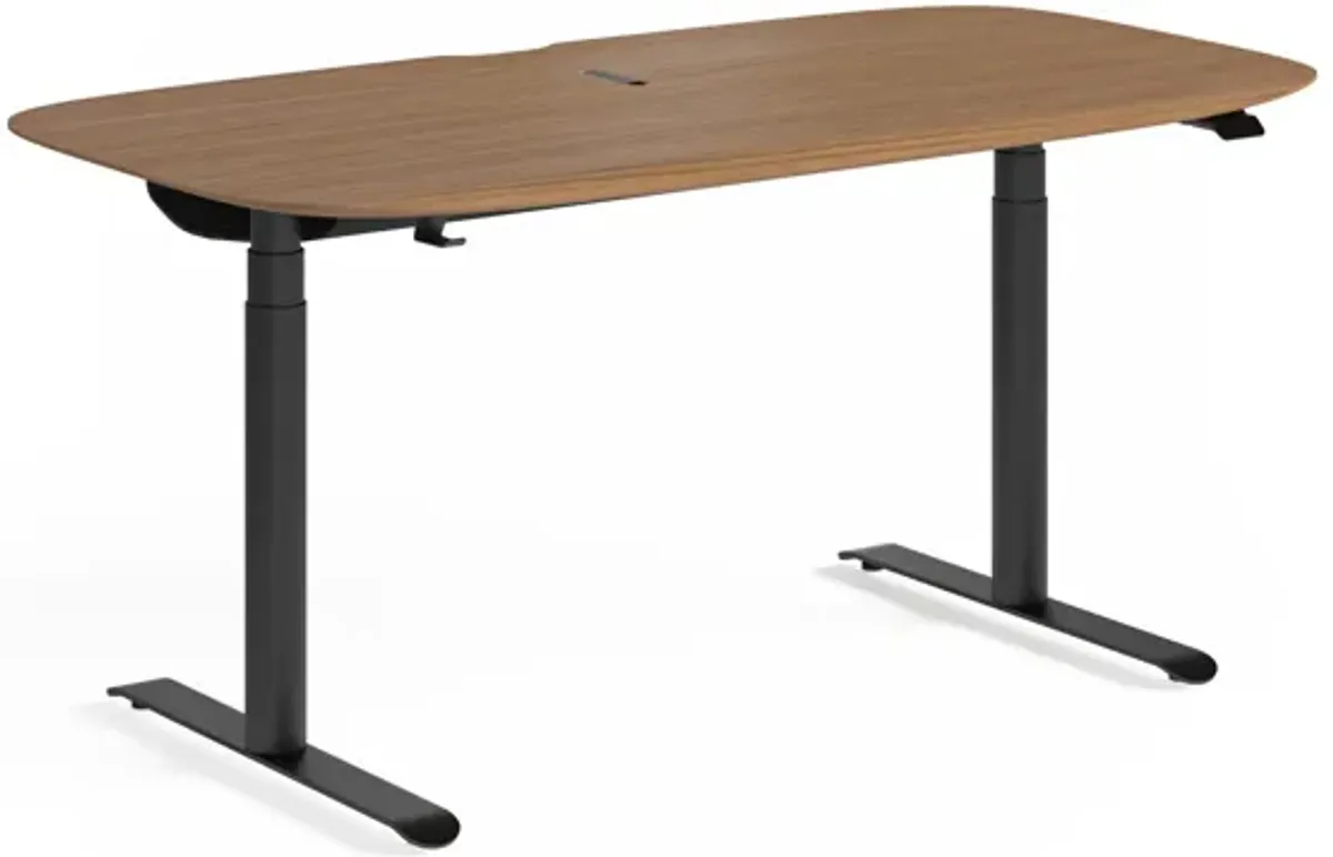 Soma Lift Desk