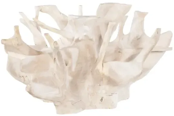 Teak Root Cocktail Table