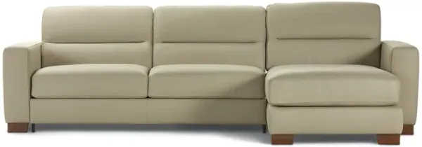 Custom Queen Sleeper
