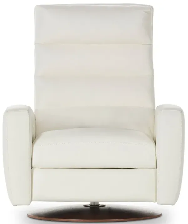 Lanier Comfort Echo Power Recliner