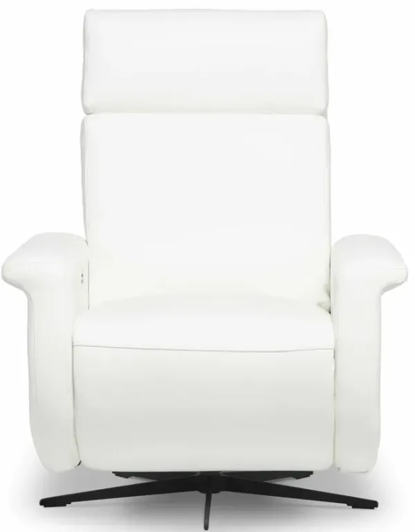 Rey Rocker Swivel Recliner