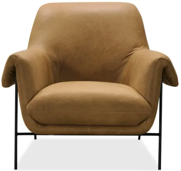 Ambroise Accent Chair