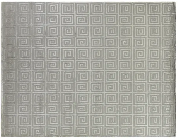 8' X 10' Silver Hand Knotted Rug