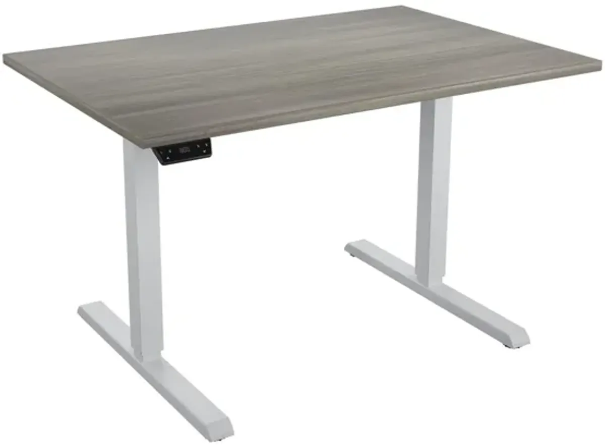 Sit and Stand 48 Inch Adjustable Height Pro-Desk with LED Control Panel