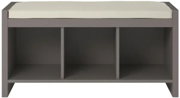Penelope Entryway Storage Bench with Cushion