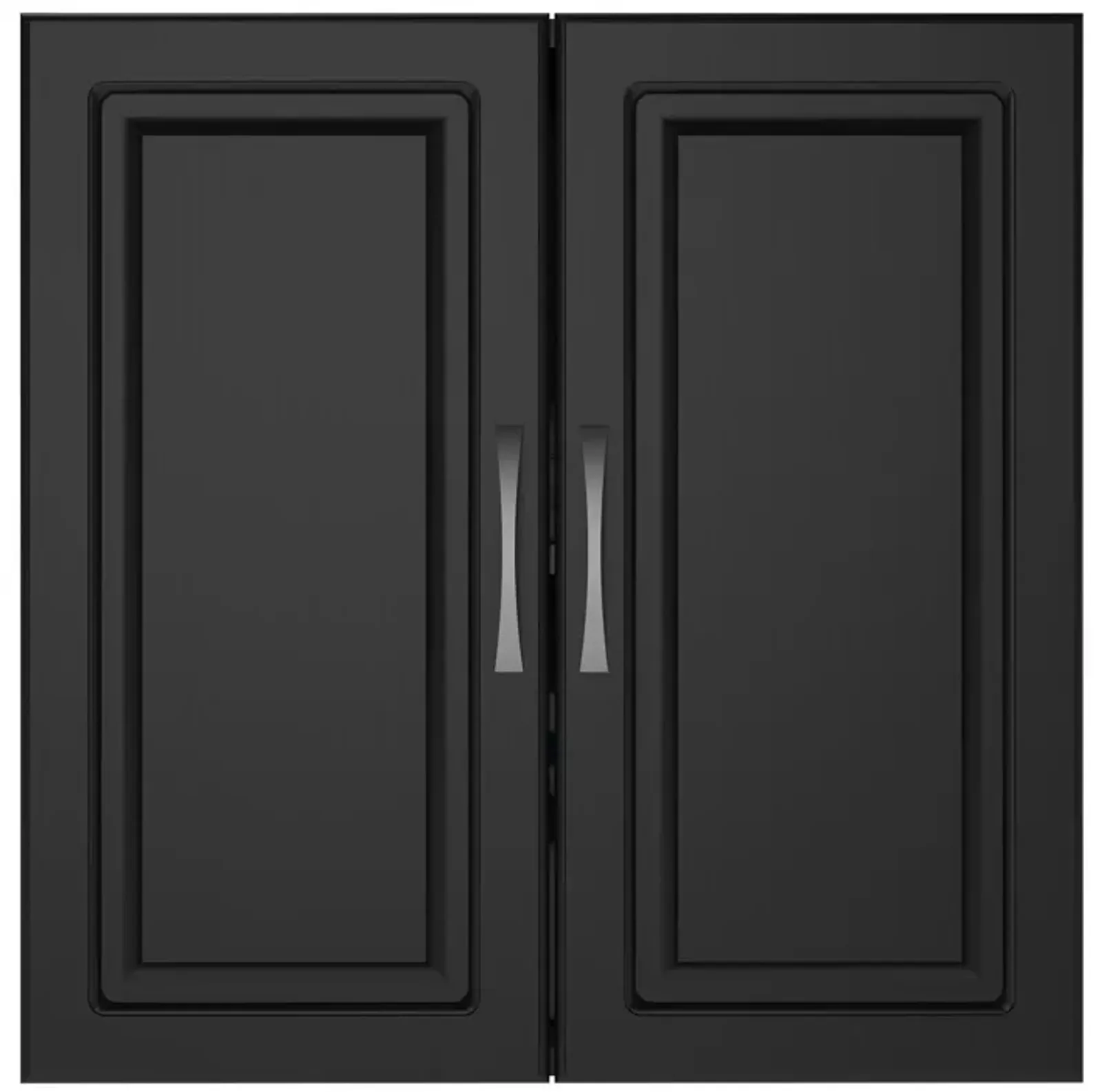 Kendall 24 Inch Multipurpose 2 Door Wall Cabinet