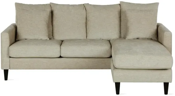 Forbin Reversible Sectional Sofa Couch with 2 Throw Pillows