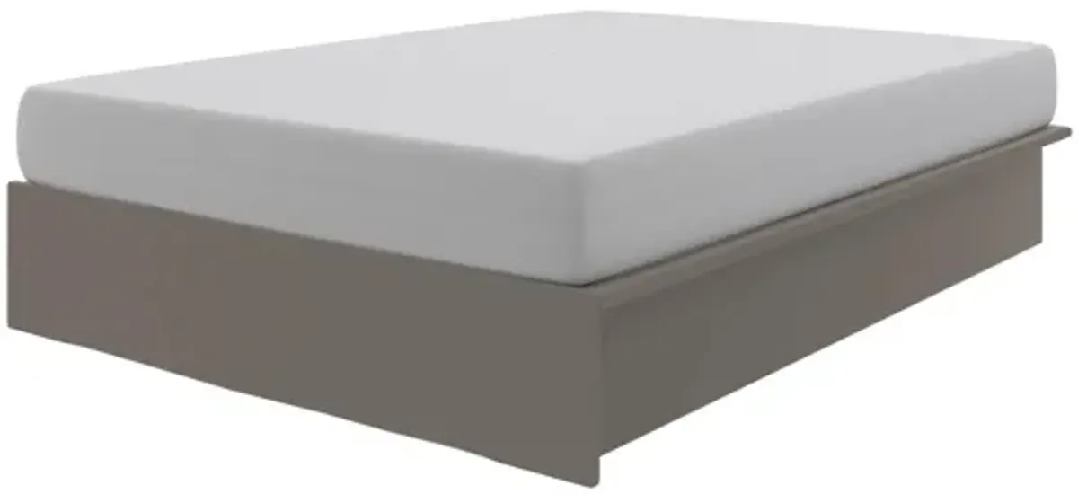 Maven Platform Upholstered Bed with Modern Low Profile Design