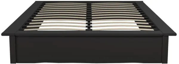 Maven Upholstered Bed with Modern Low Profile Design