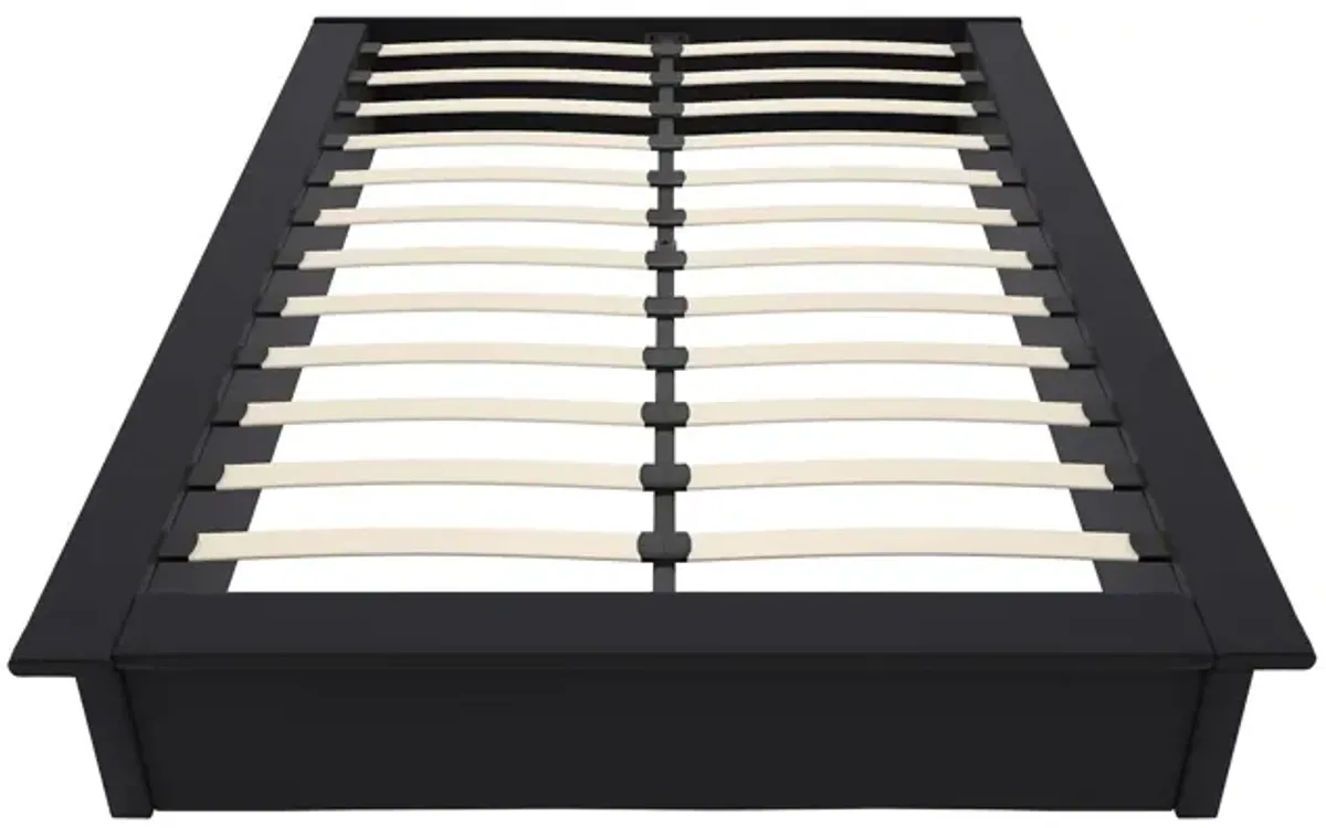 Maven Upholstered Bed with Modern Low Profile Design