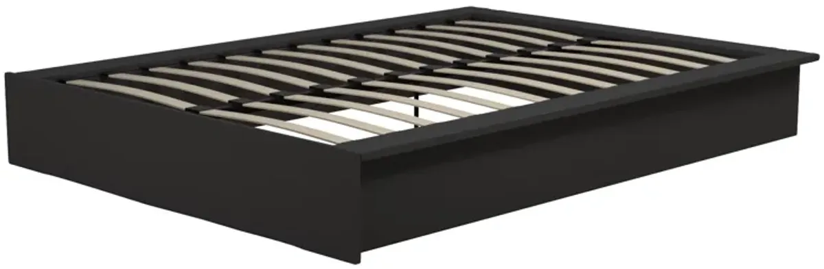 Maven Upholstered Bed with Modern Low Profile Design