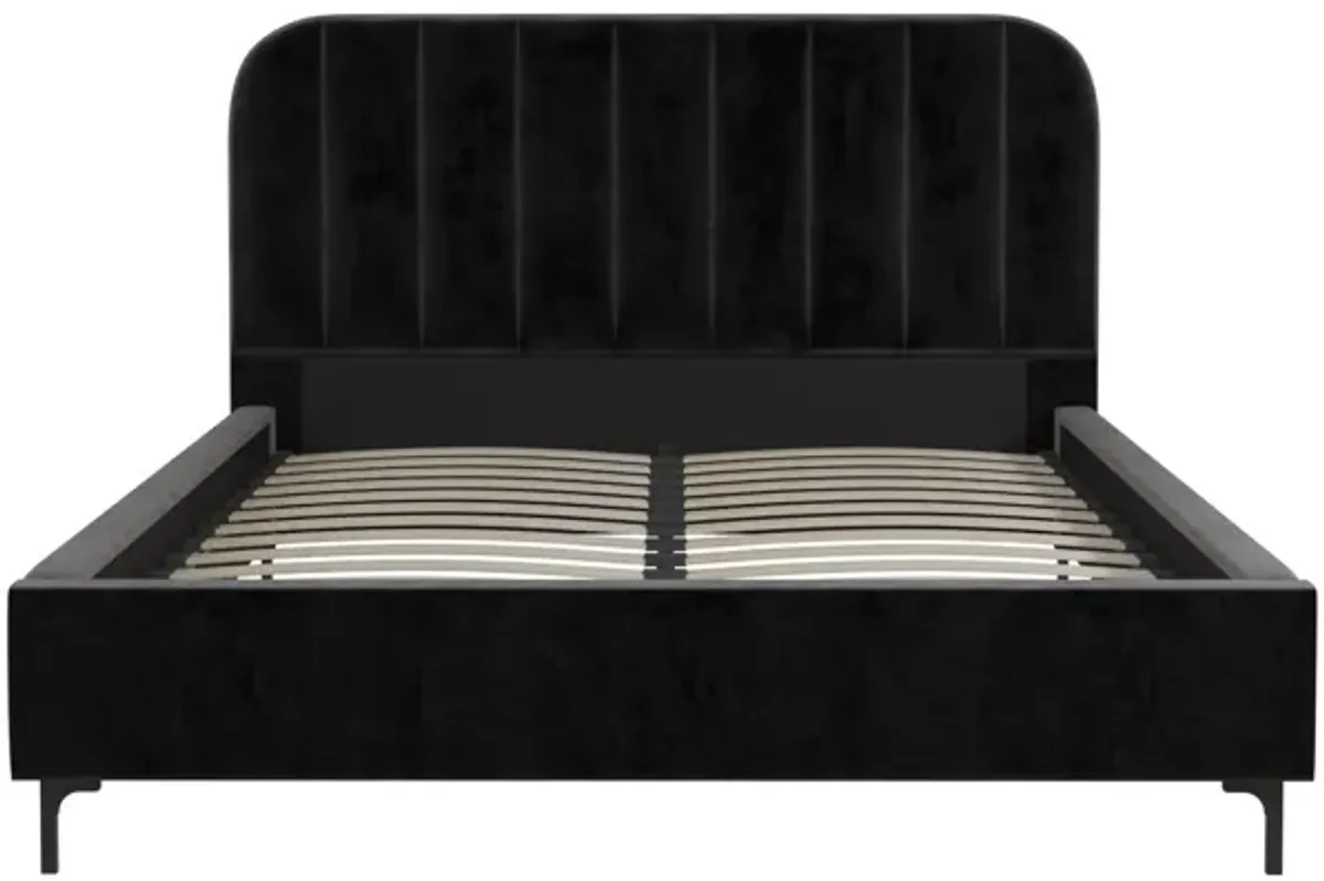 Callie Velvet Upholstered Bed with Wood Frame and Slats