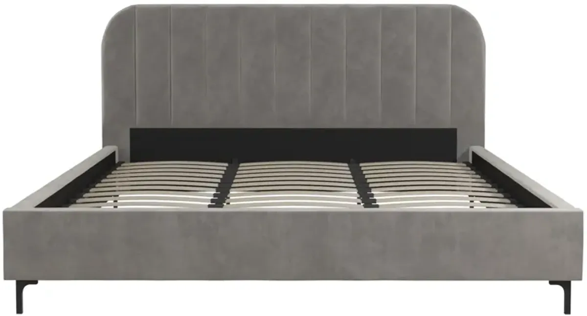 Callie Velvet Upholstered Bed with Wood Frame and Slats