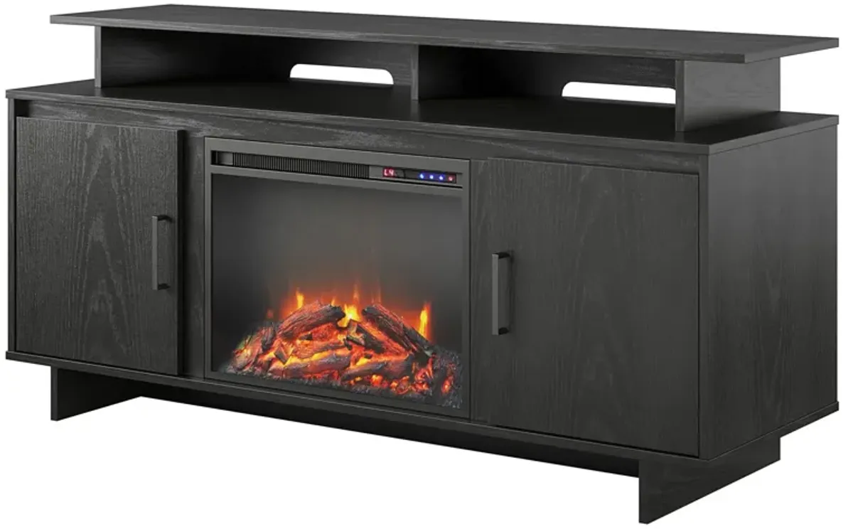 Merritt Avenue Electric Fireplace TV Console with Storage for TVs up to 74"