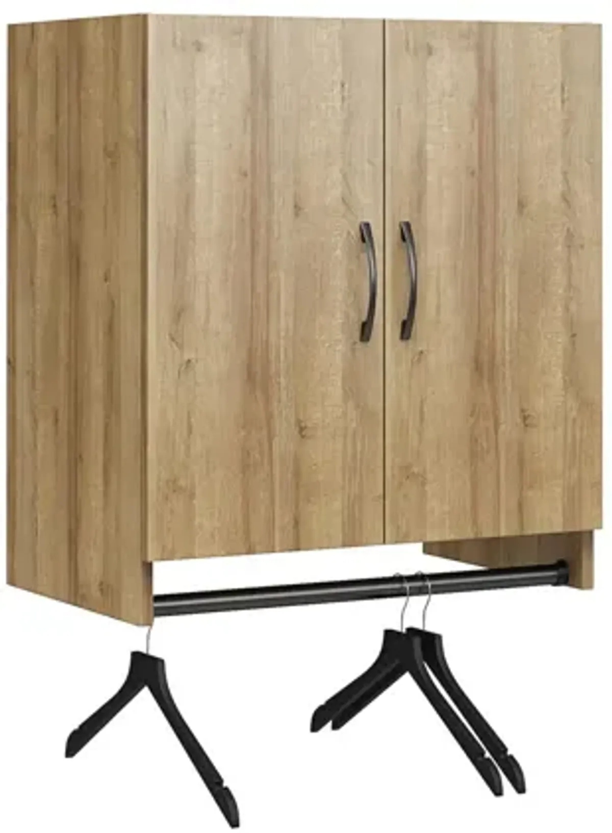 Basin 2 Door Wall Storage Cabinet with Hanging Rod