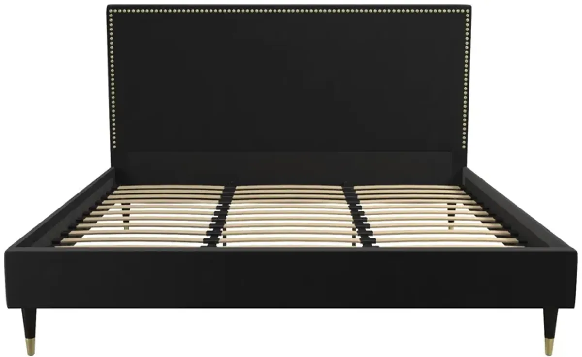 Audrey Velvet Upholstered Bed with Headboard and Nailheads