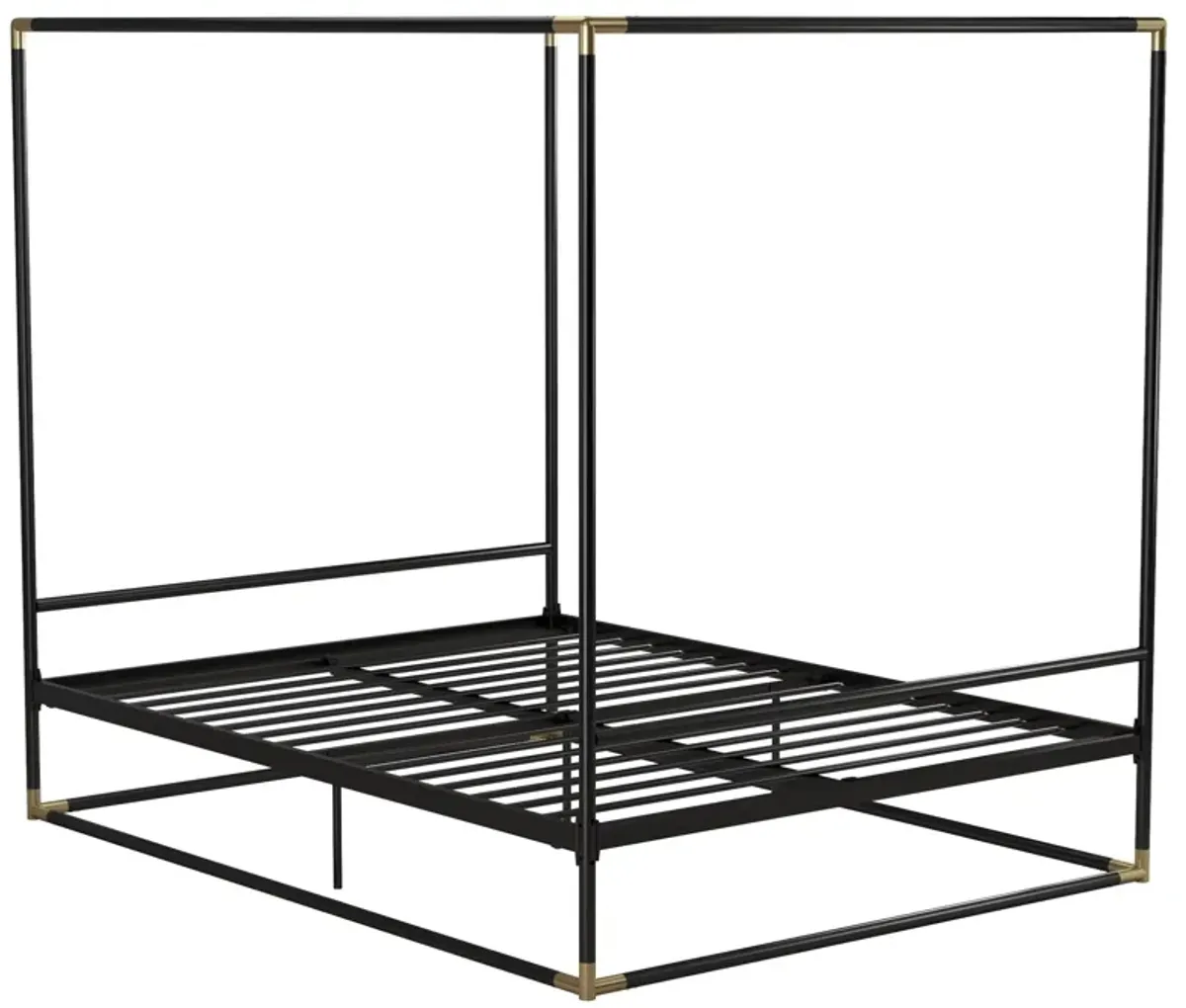 Celeste Canopy Metal Bed with Gold Accents