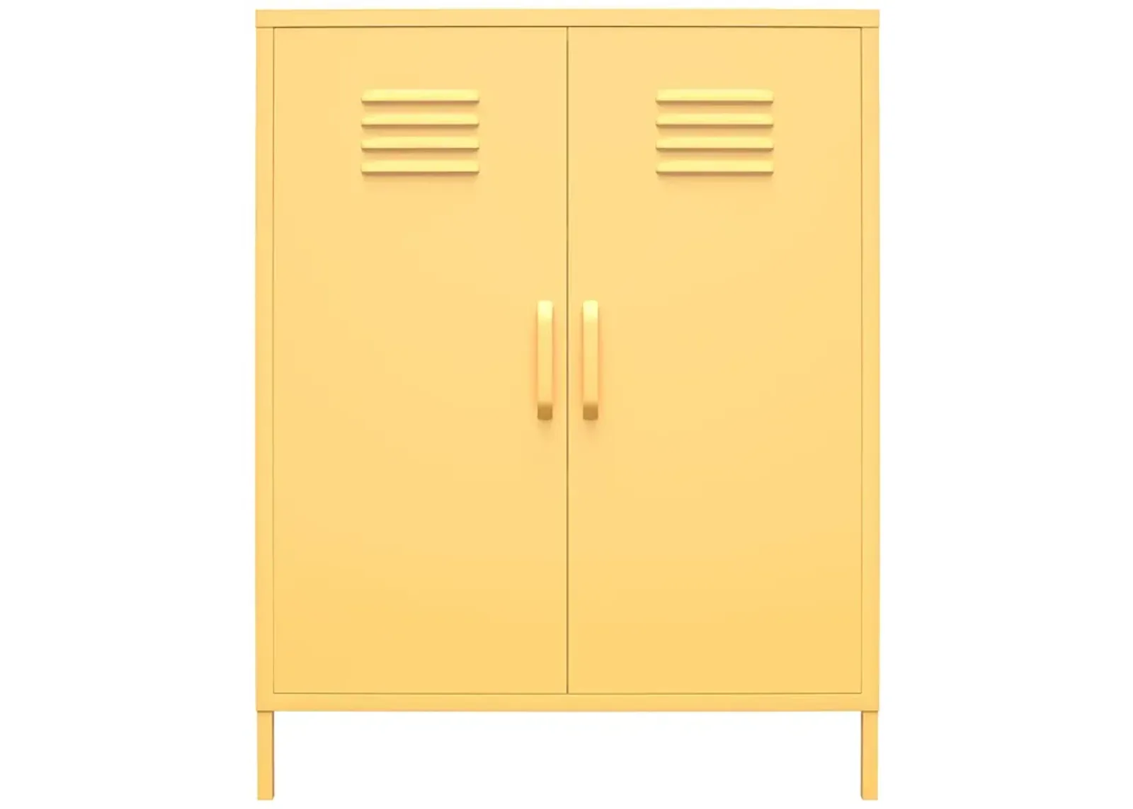 Cache 2 Door Metal Locker Storage Cabinet