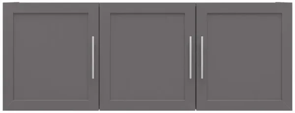 Camberly Framed 54 Inch Wall Cabinet