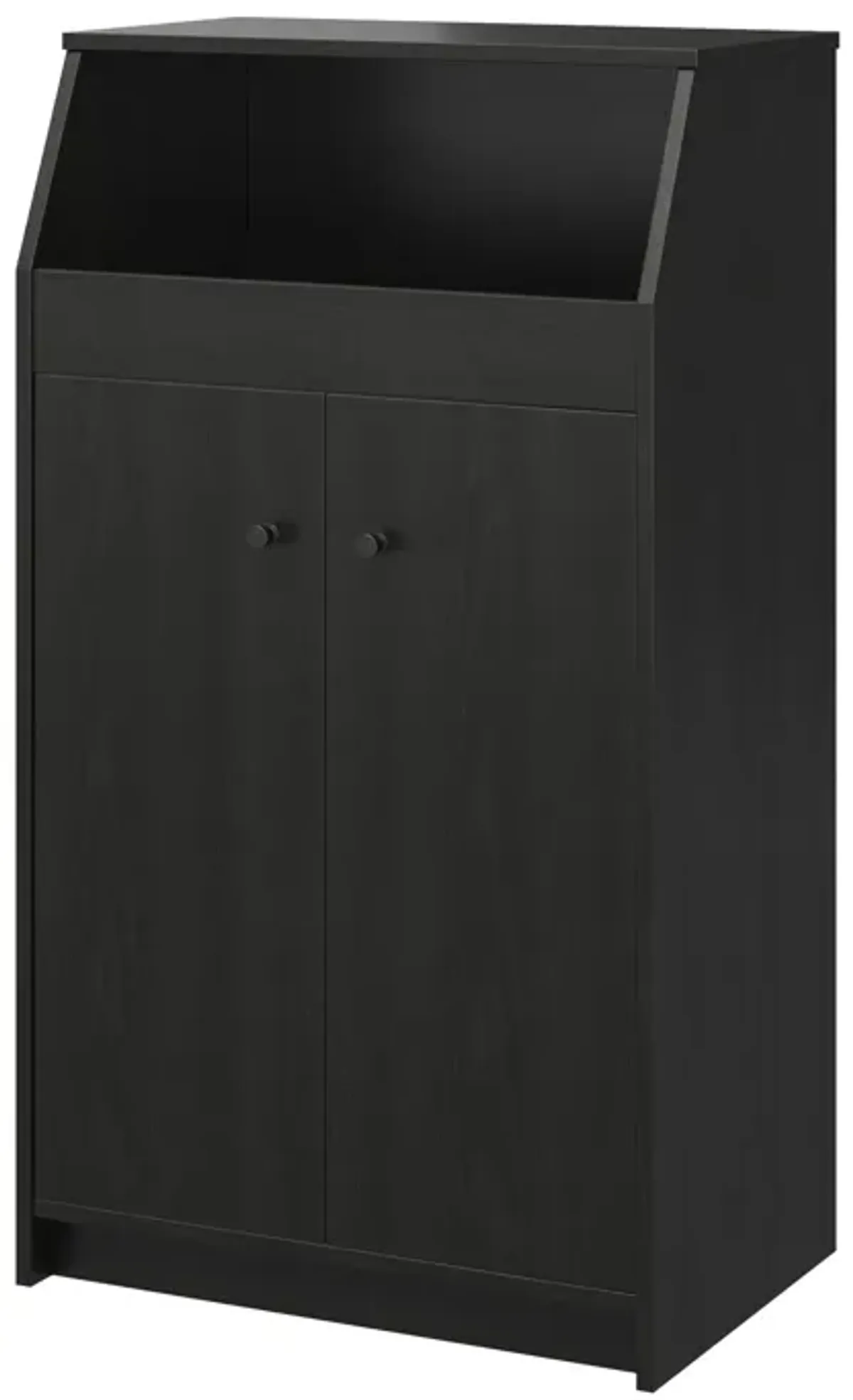 The Loft 2 Door Storage Tower with a Large Open Cubby and 2 Shelves