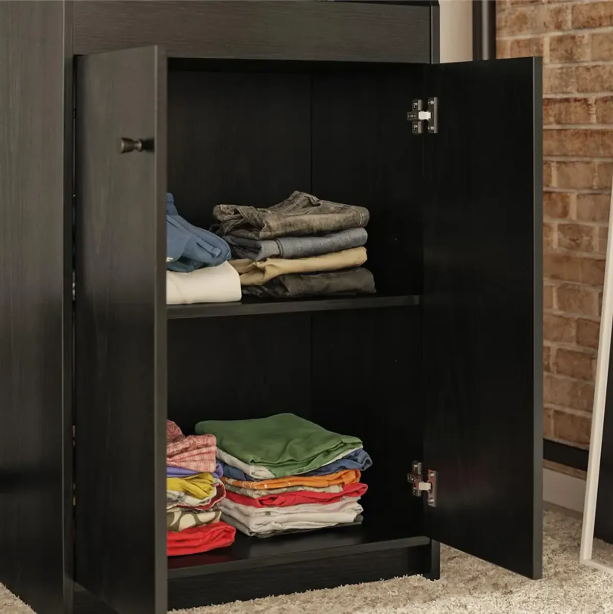 The Loft 2 Door Storage Tower with a Large Open Cubby and 2 Shelves