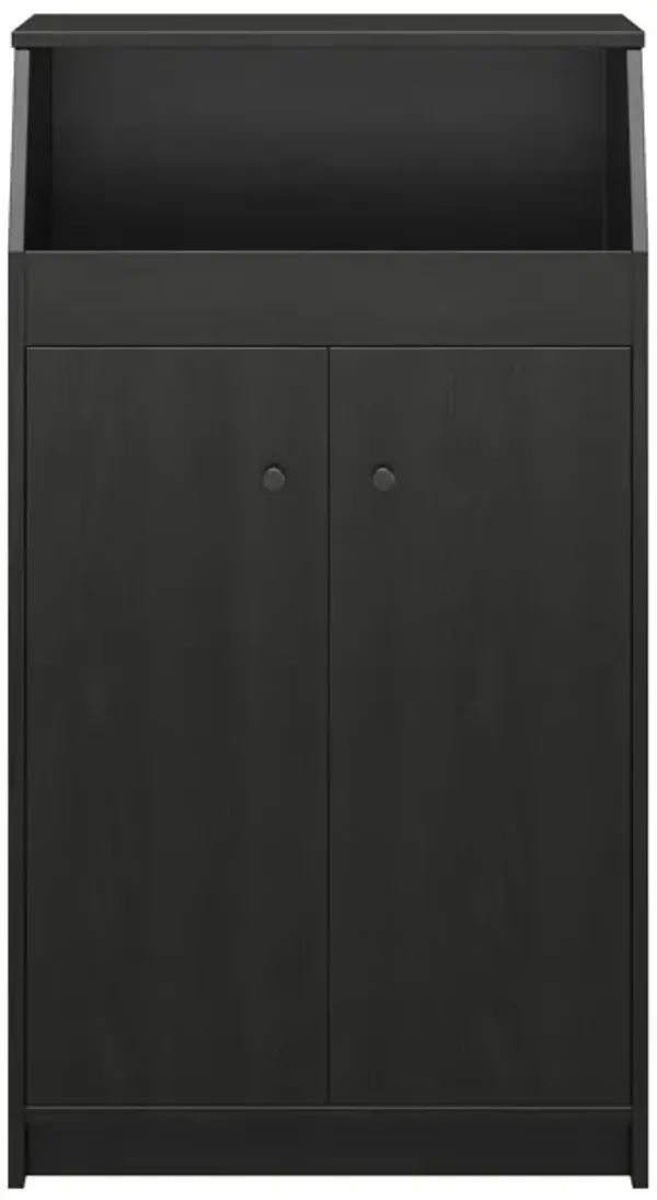 The Loft 2 Door Storage Tower with a Large Open Cubby and 2 Shelves