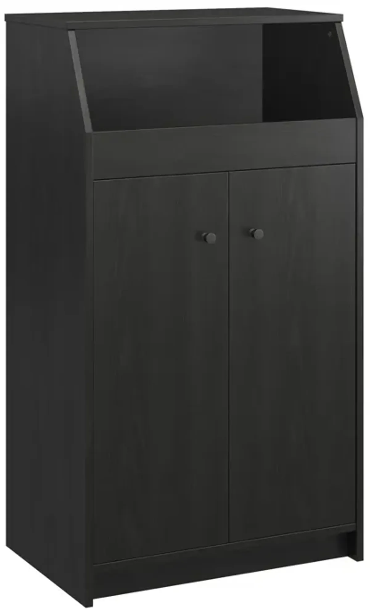 The Loft 2 Door Storage Tower with a Large Open Cubby and 2 Shelves