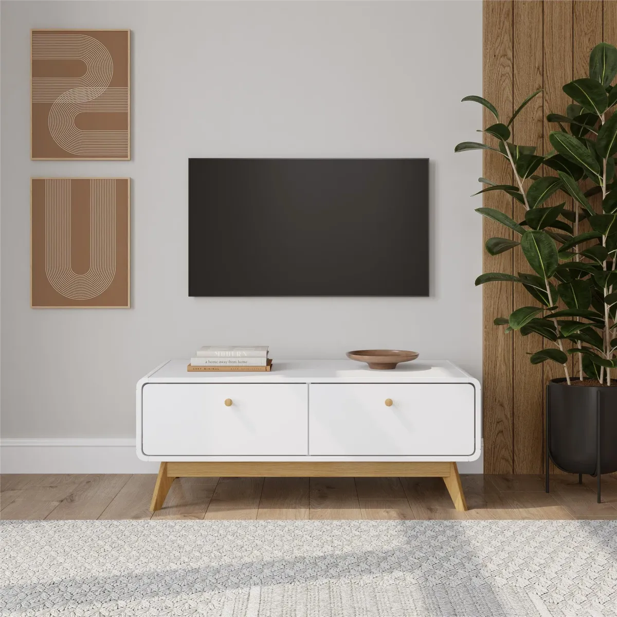 Leva Scandinavian Style TV Stand with 2 Drawers