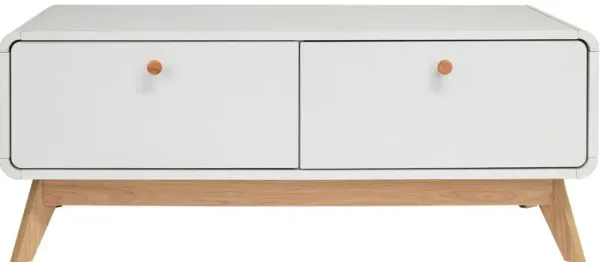 Leva Scandinavian Style TV Stand with 2 Drawers