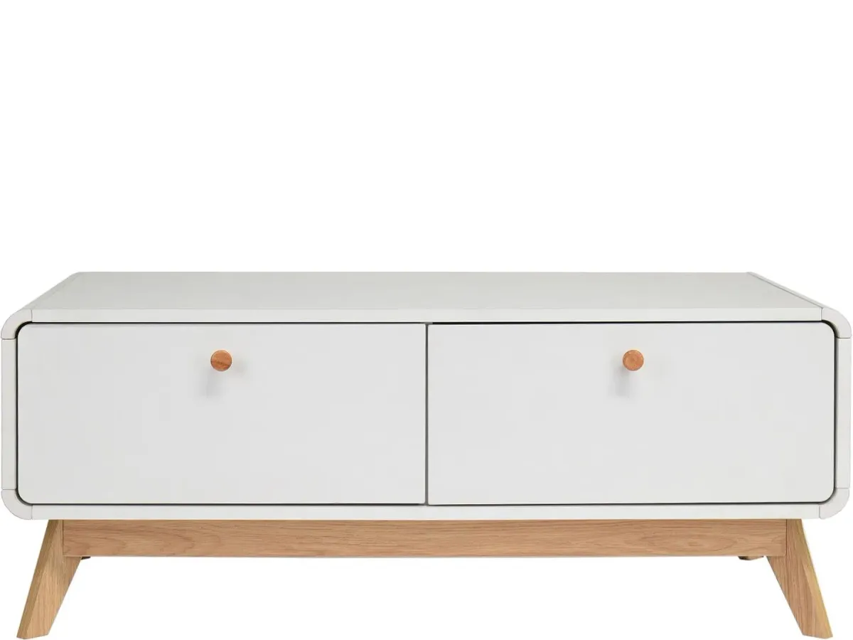 Leva Scandinavian Style TV Stand with 2 Drawers