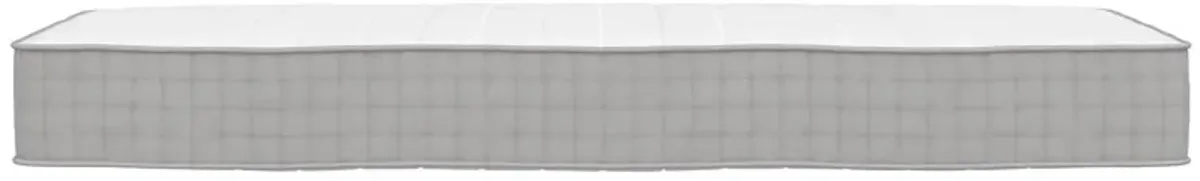 Hush 8" Independently Encased Coil Mattress