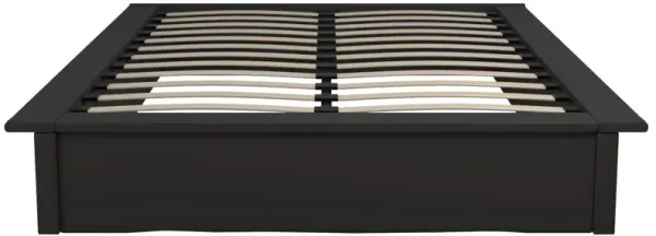 Maven Upholstered Bed with Modern Low Profile Design