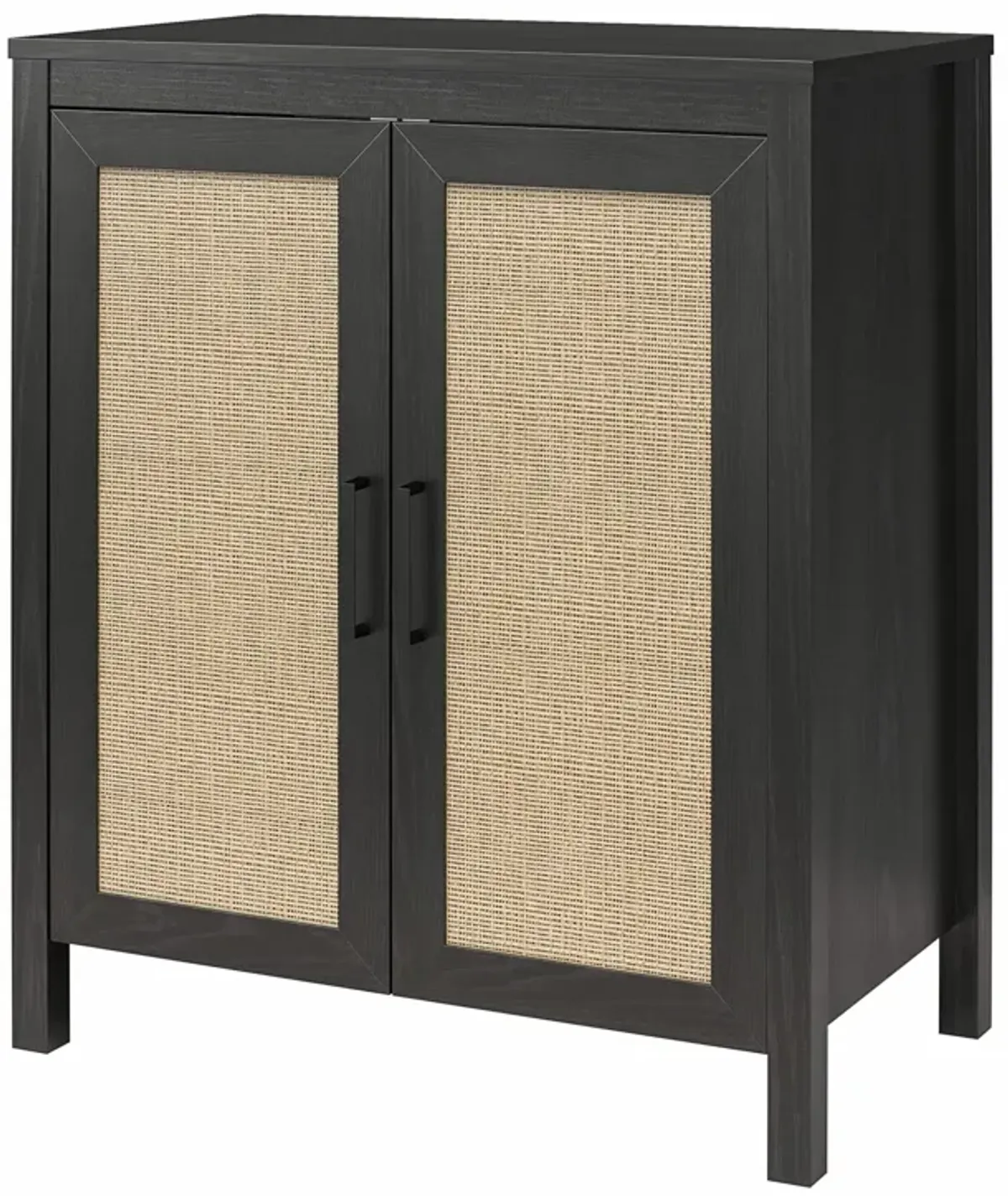 Amberly 2 Door Accent Cabinet