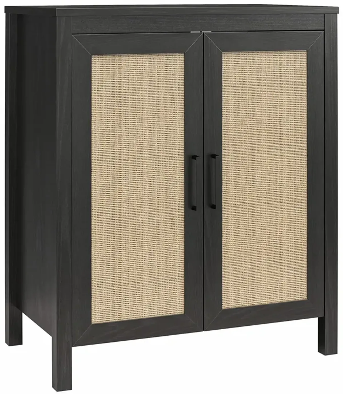 Amberly 2 Door Accent Cabinet