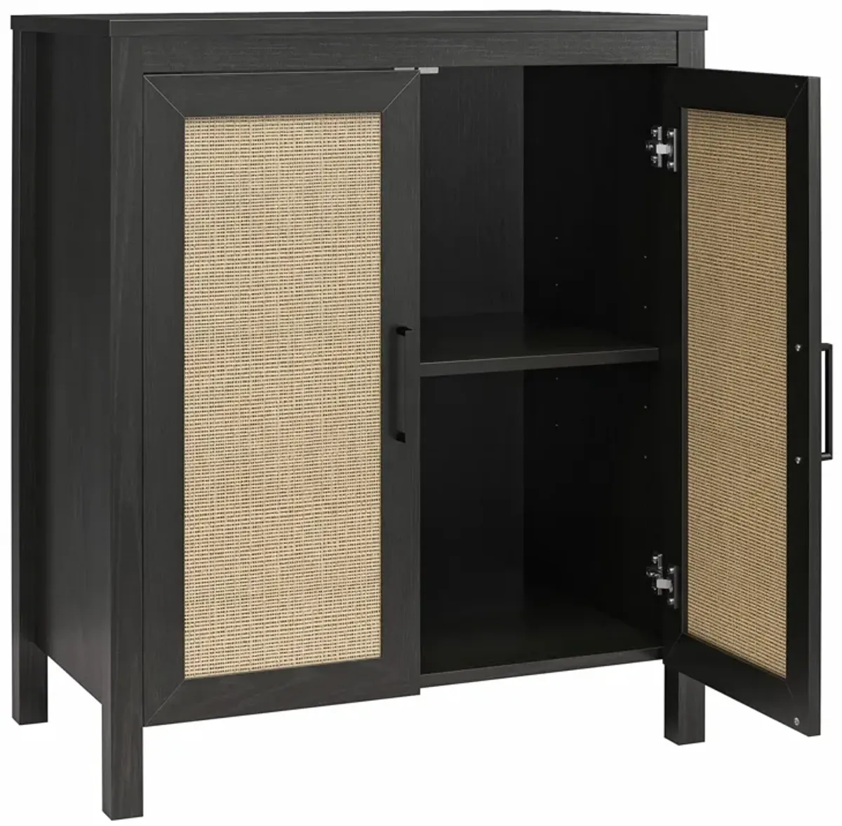 Amberly 2 Door Accent Cabinet