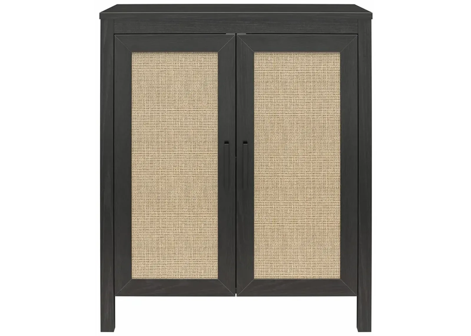 Amberly 2 Door Accent Cabinet