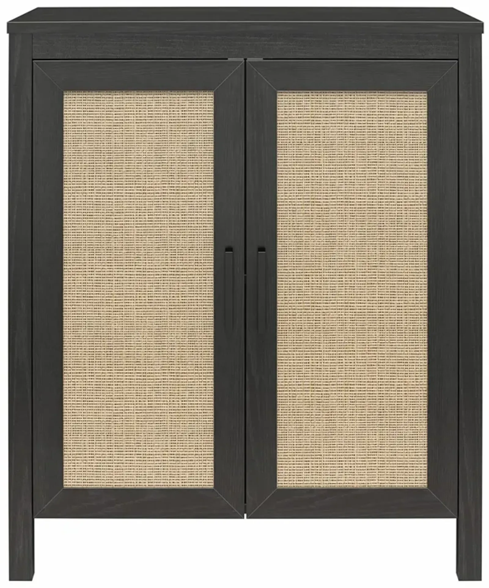 Amberly 2 Door Accent Cabinet