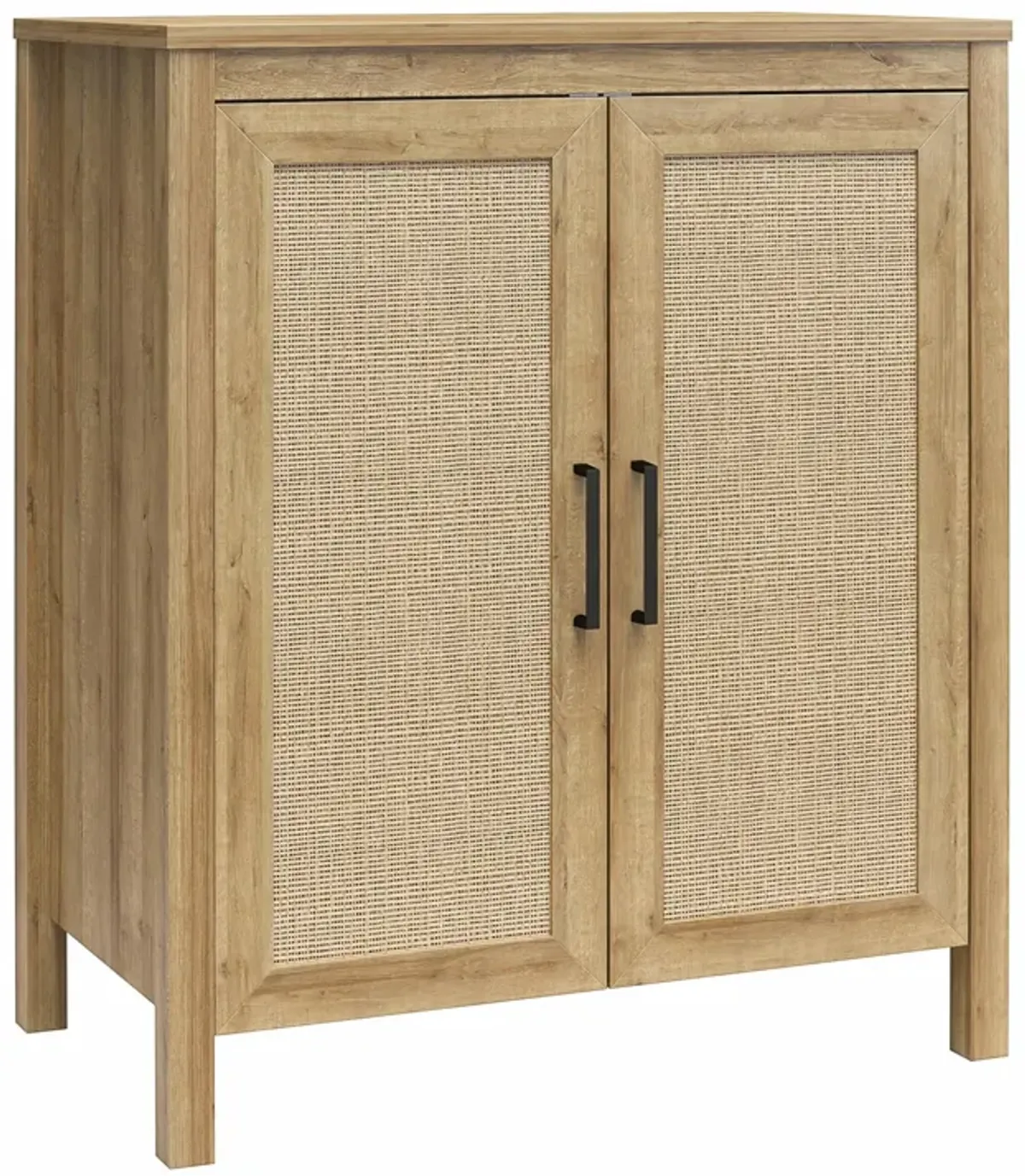 Amberly 2 Door Accent Cabinet