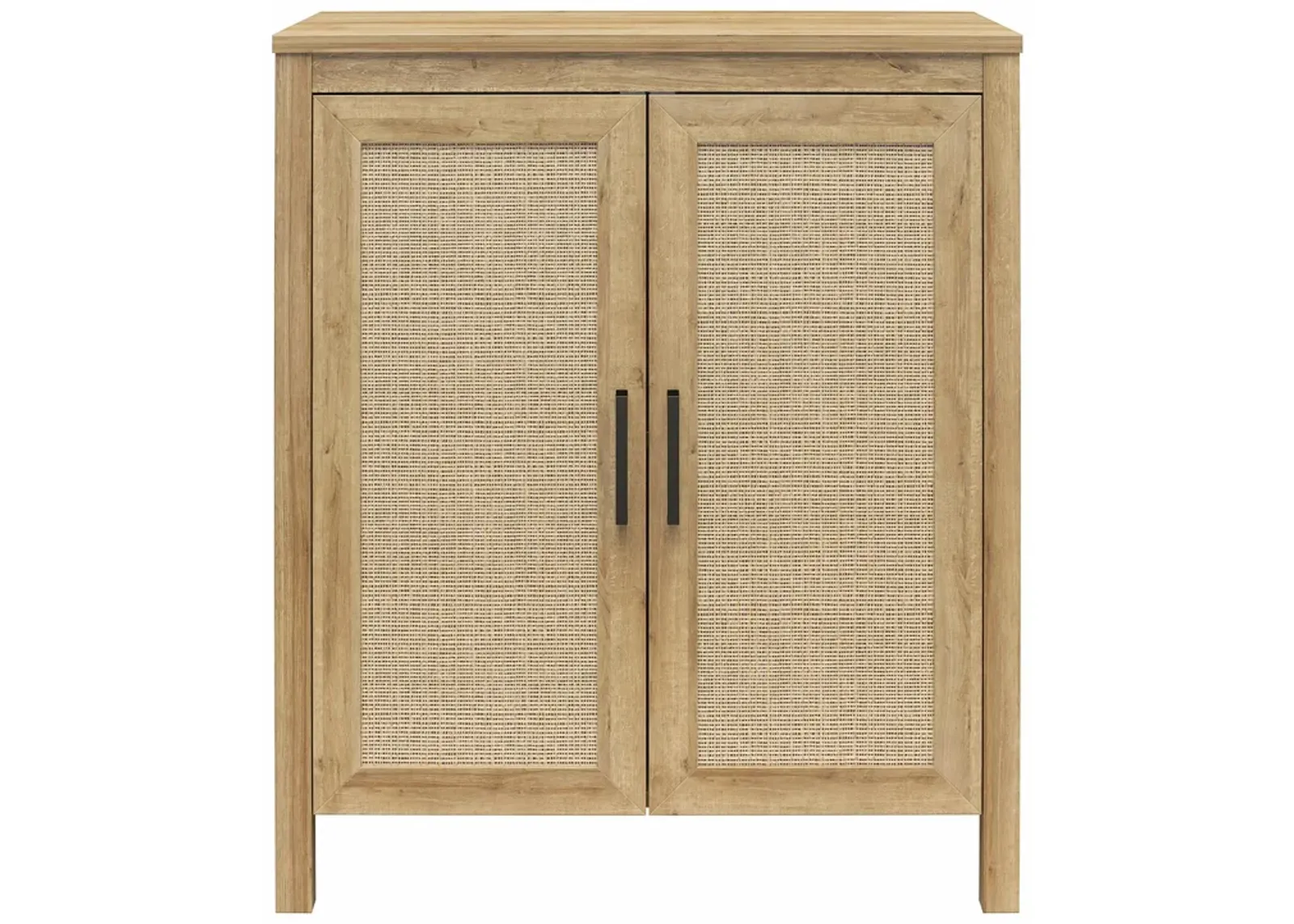 Amberly 2 Door Accent Cabinet