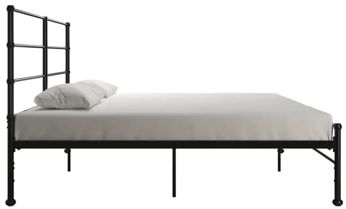 MacKenzie Adaptable Metal Platform Bed