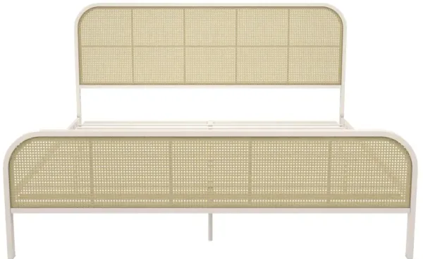 Roxanne Metal and Cane Platform Bed