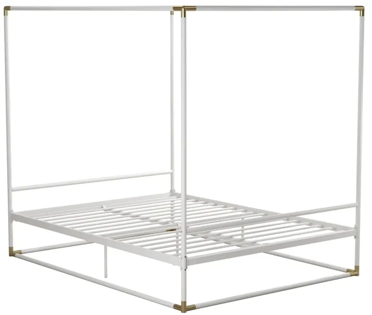 Celeste Canopy Metal Bed with Gold Accents