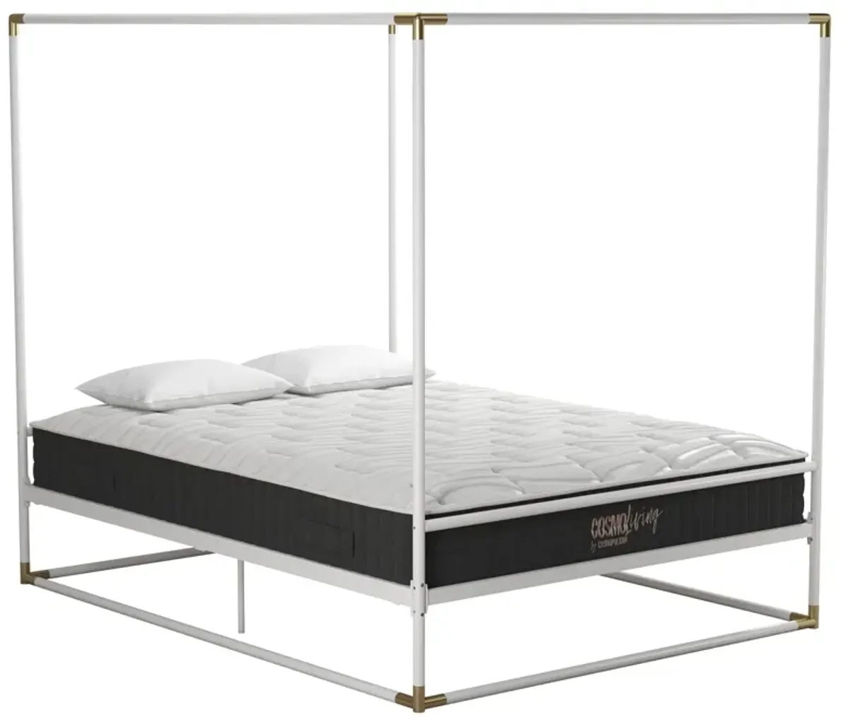 Celeste Canopy Metal Bed with Gold Accents