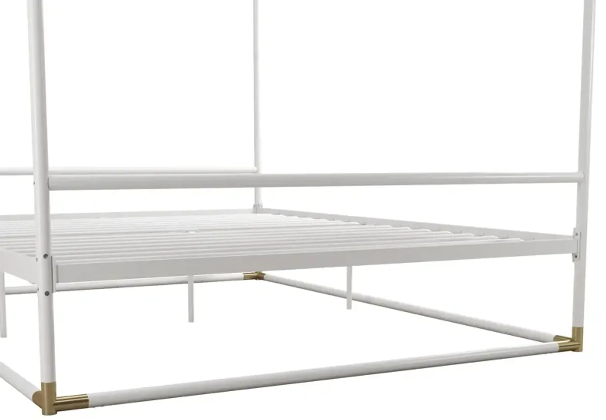 Celeste Canopy Metal Bed with Gold Accents