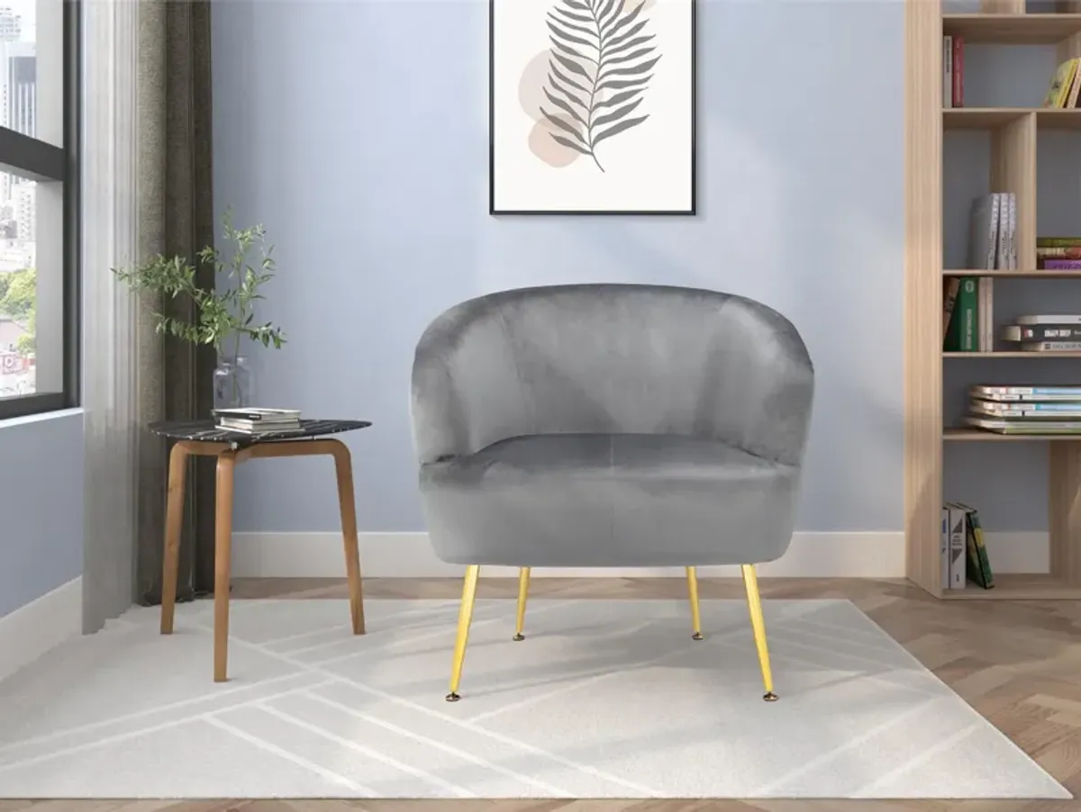 Kara Teddy Soft Accent Chair with Gold Legs