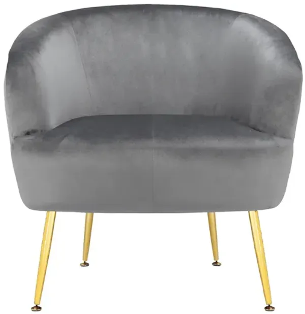 Kara Teddy Soft Accent Chair with Gold Legs