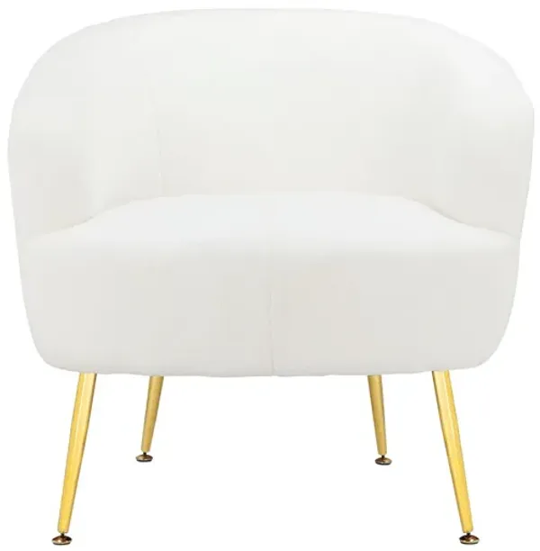 Kara Teddy Soft Accent Chair with Gold Legs