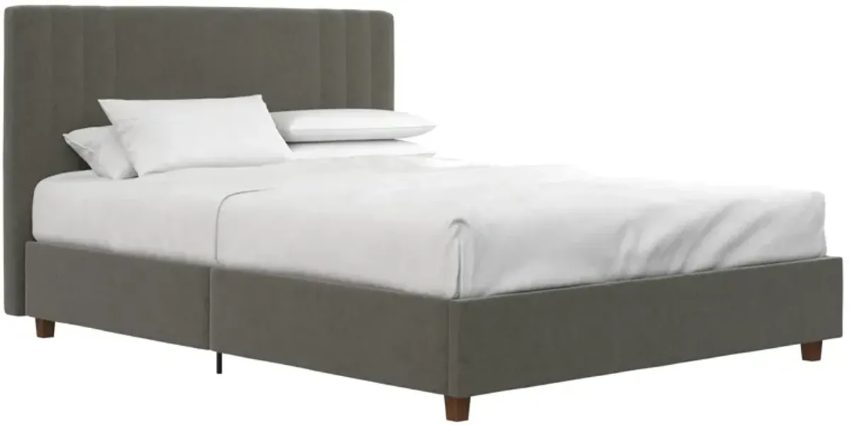 Wynn Upholstered Bed