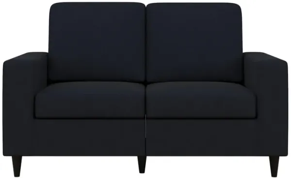 Coral Loveseat 2 Seater Upholstered Sofa