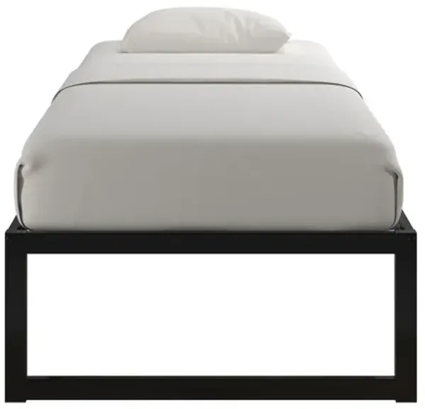Avey Modern Metal Platform Bed Frame